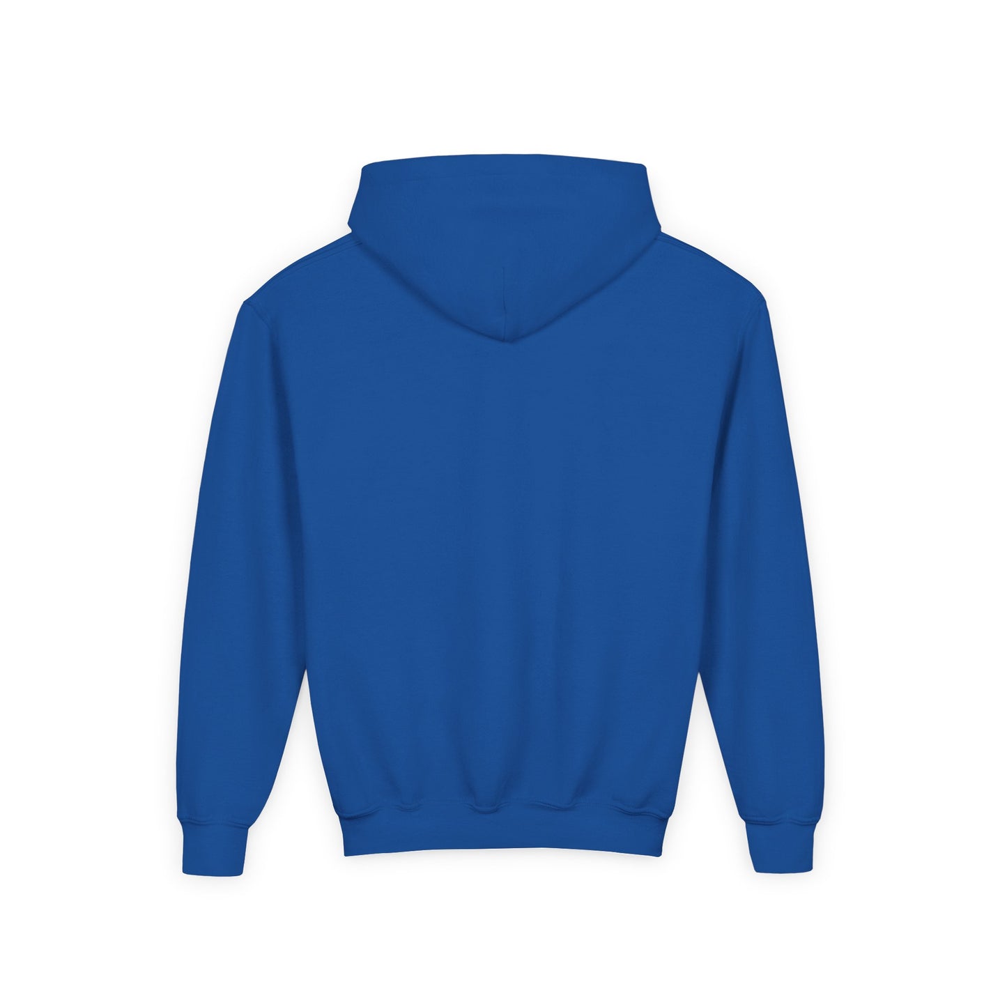 BB22 youth signature hoodie