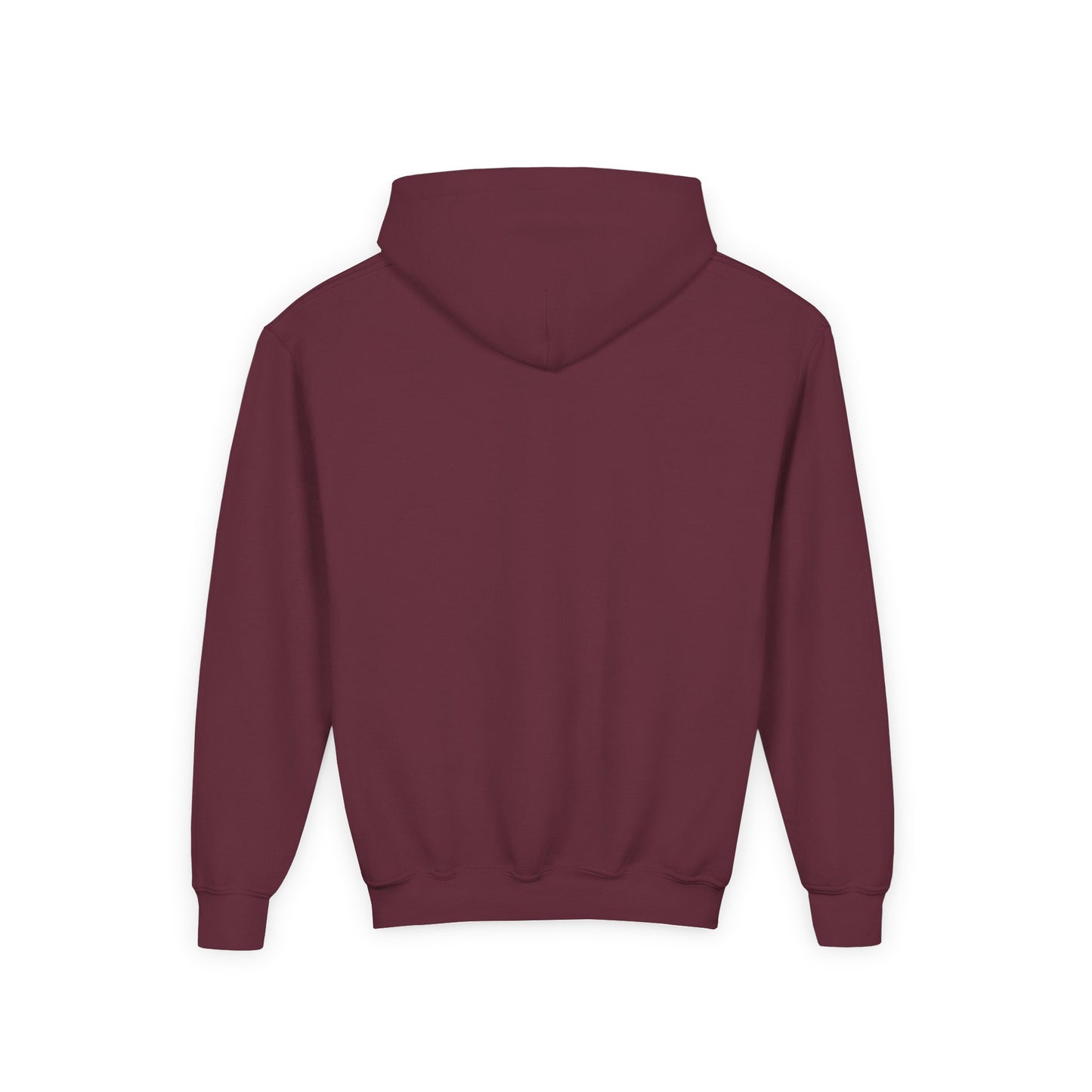 BB22 Youth Hoodie
