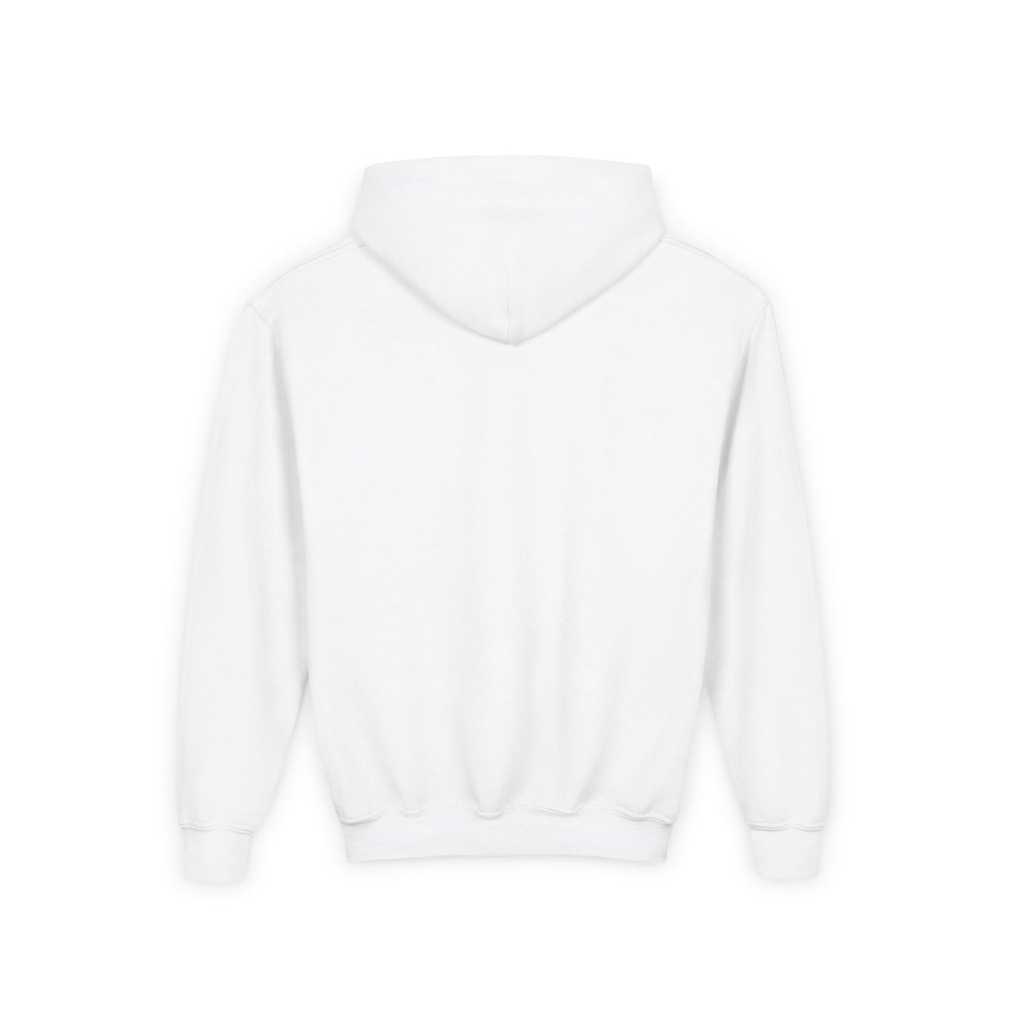 BB22 youth signature hoodie