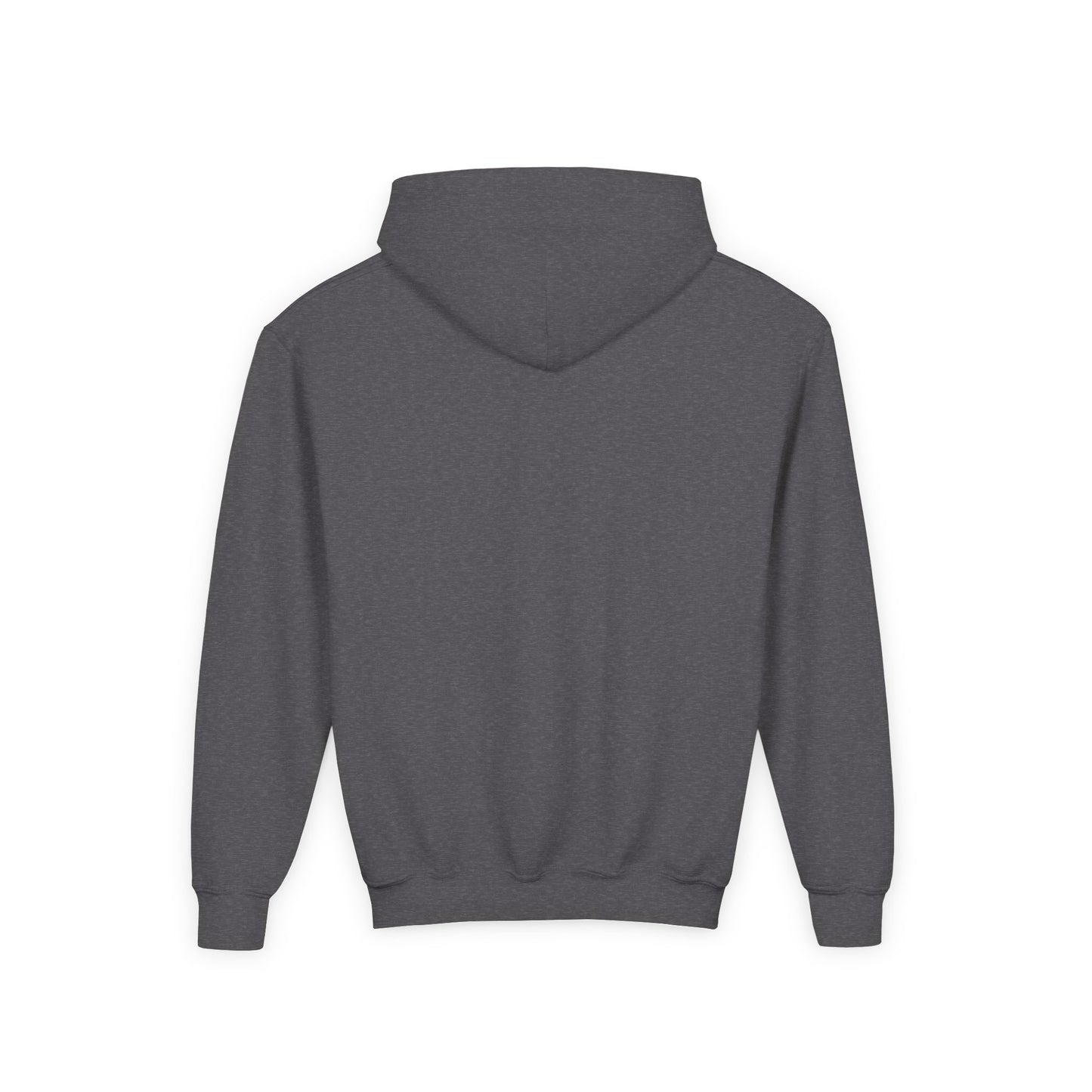 BB22 Youth Hoodie