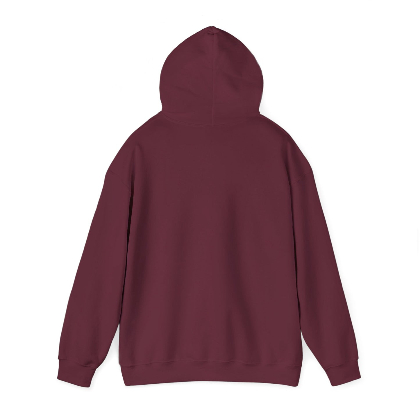 BB22 hoodie